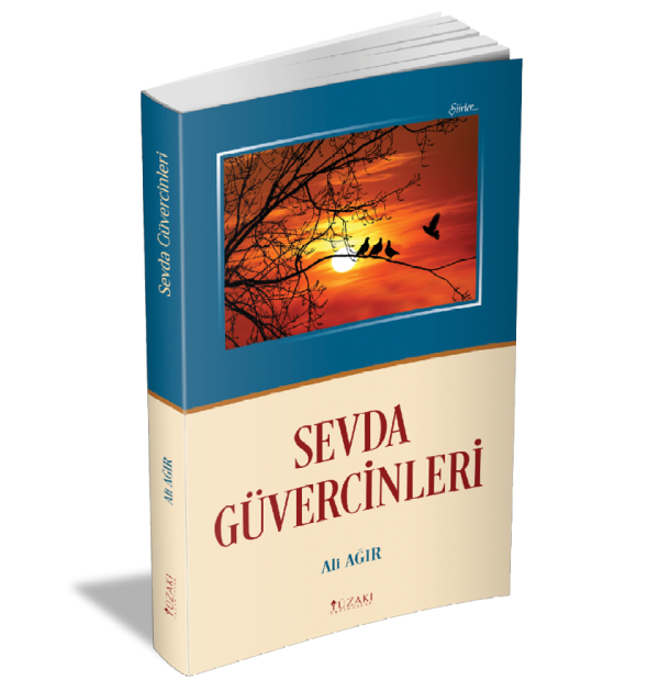 SEVDA GÜVERCİNLERİ